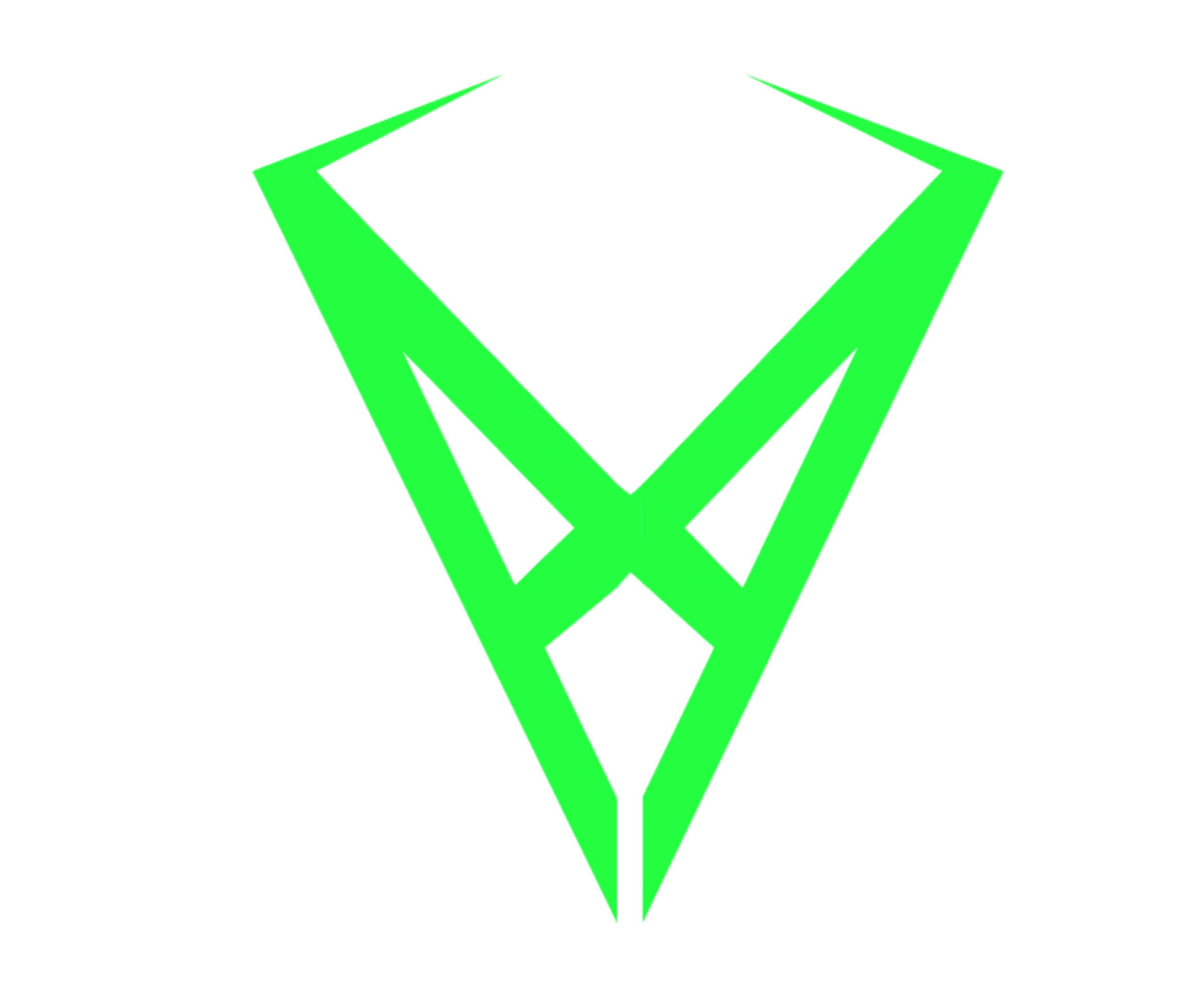 Valionix logo